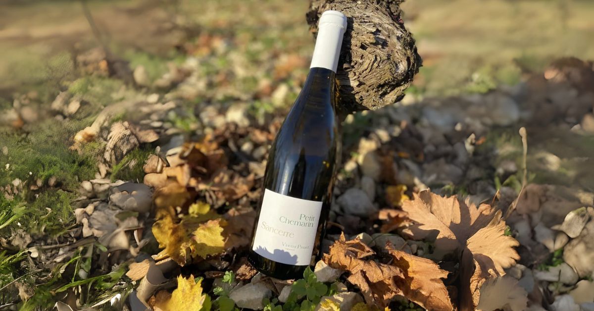 Domaine Vincent Pinard Sancerre - Grand Chemarin