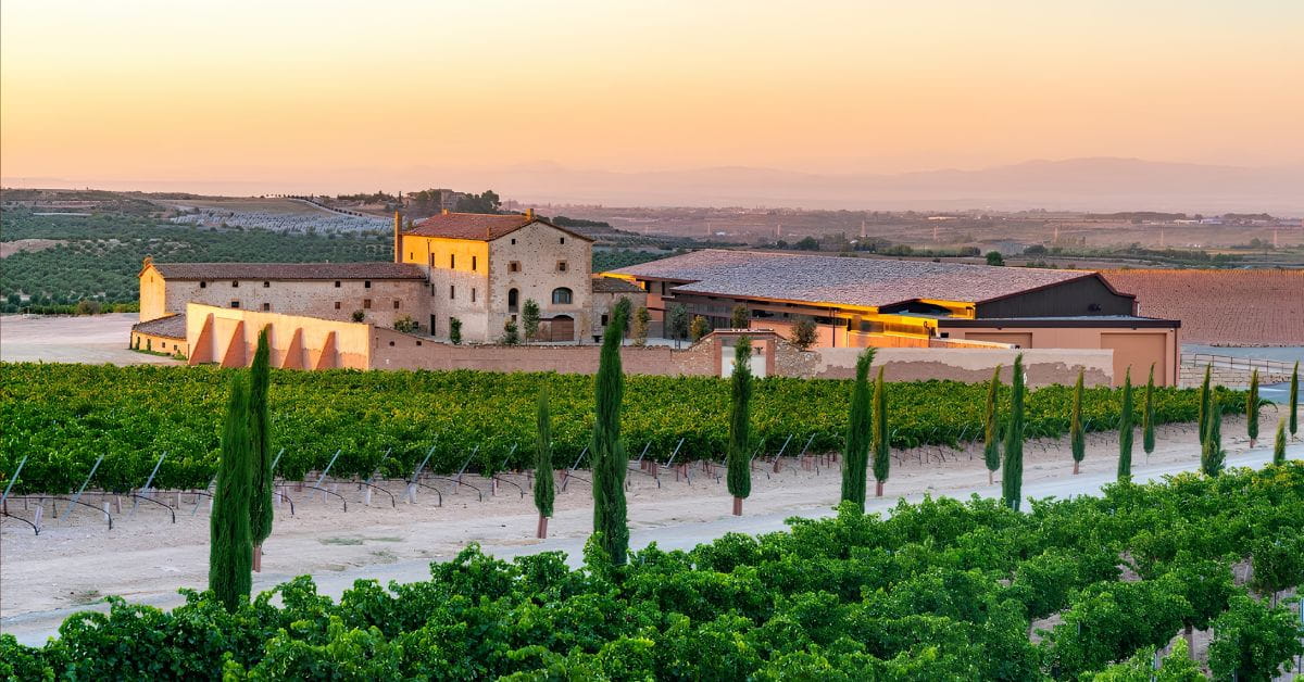 Familia Torres ไวน์ครอบครัวจาก Penedès สเปน