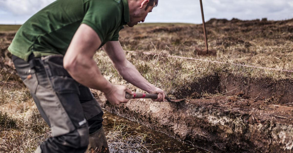 Islay Peat