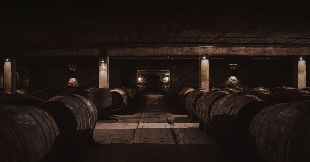 Louis XIII Cellar