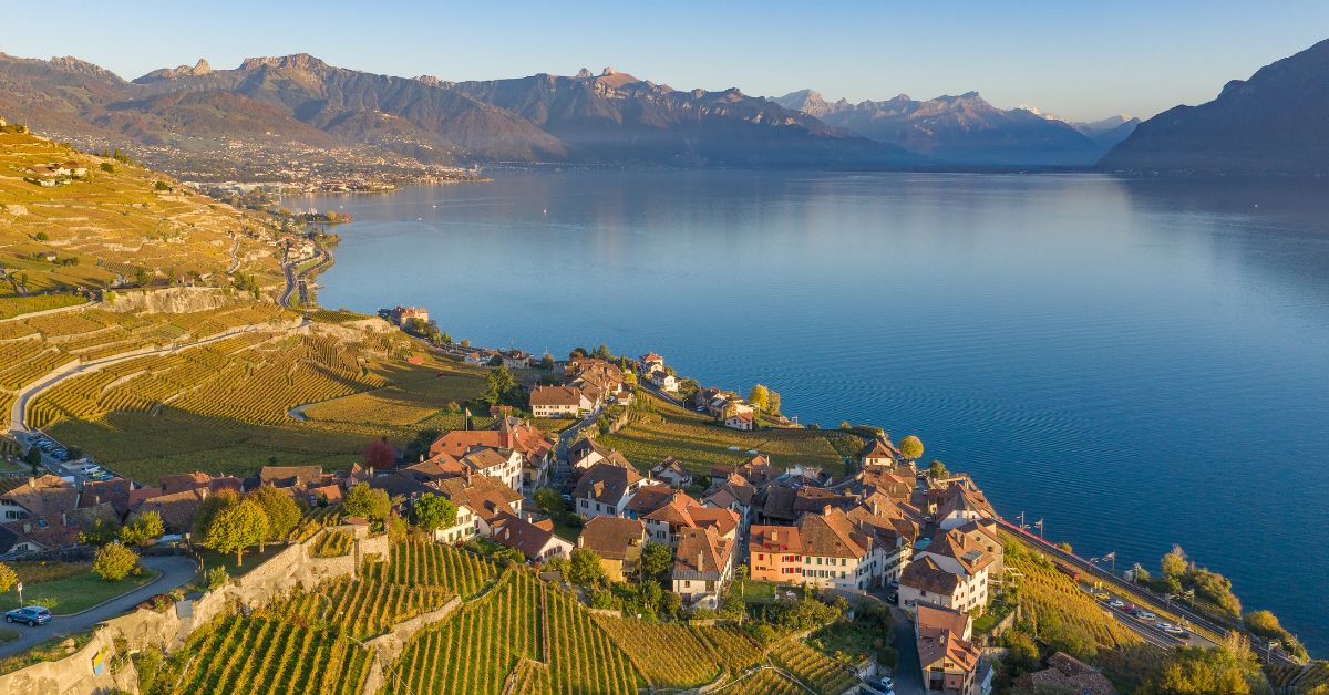 Lavaux Vineyard Terraces