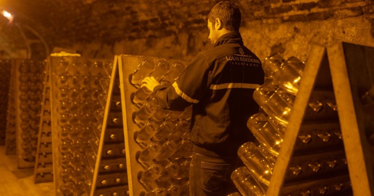 Louis Roederer Cellar