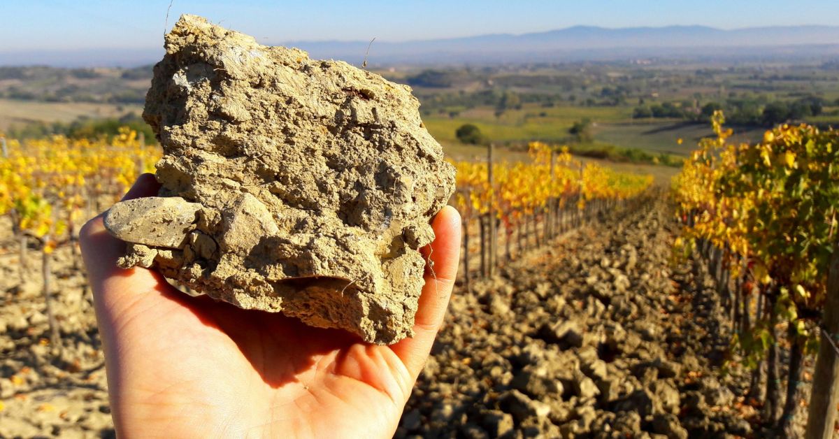 Marlborough Soil