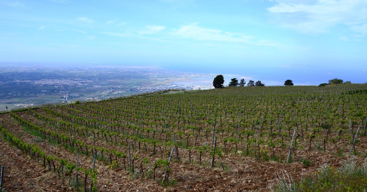 Marsala
