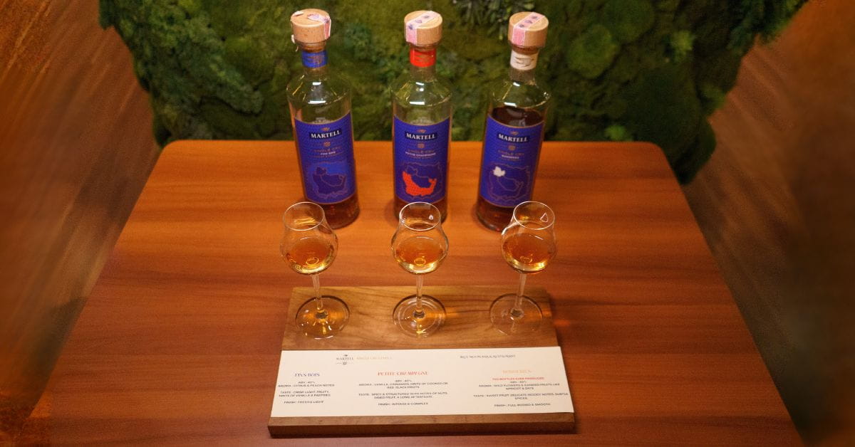 Martell: Single Cru Cognac – Level 1