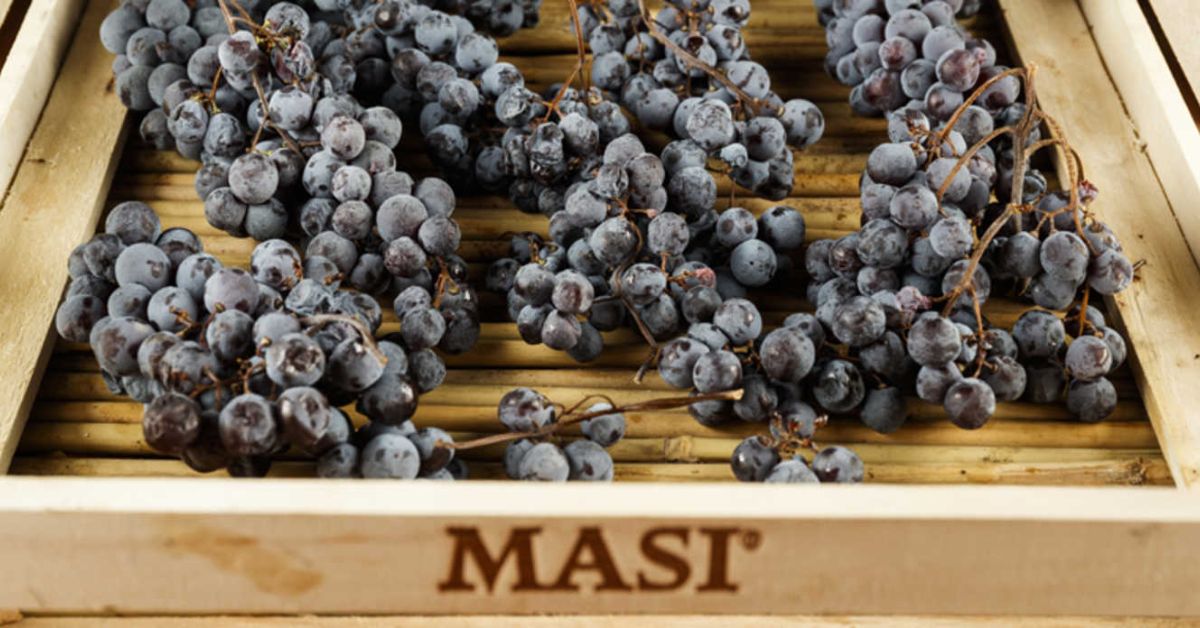 Masi Grape