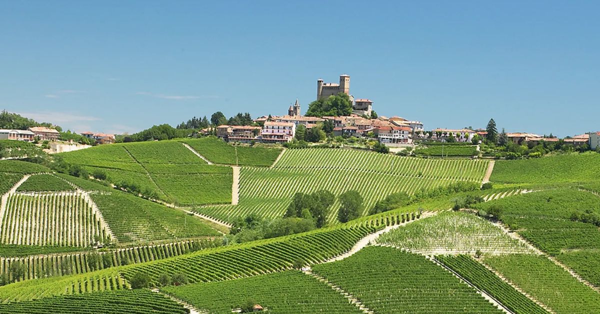 Massolino Vineyard