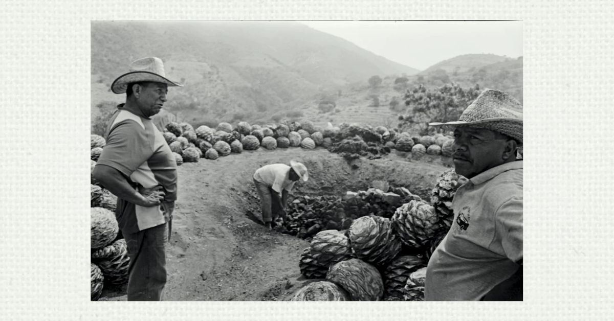 Mezcal Agave Smoking