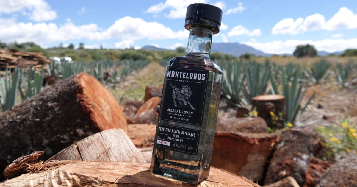 Montelobos Espadín Joven Mezcal