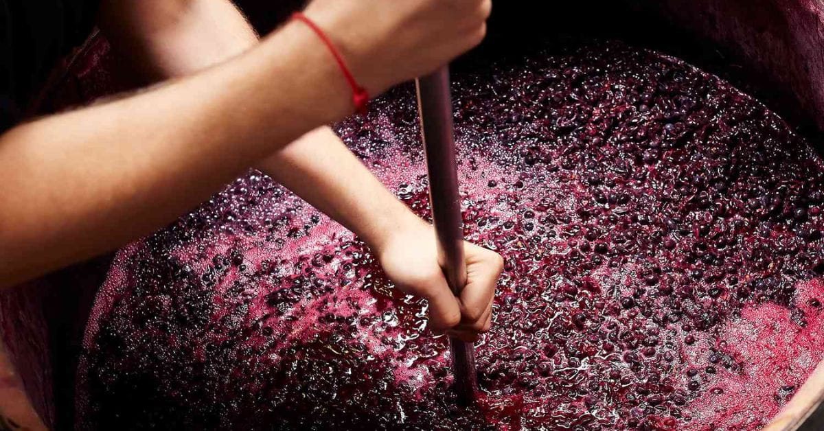 Natural Wine