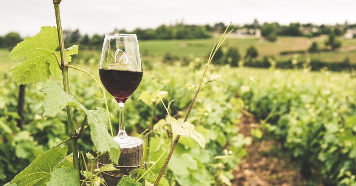 Natural Wine