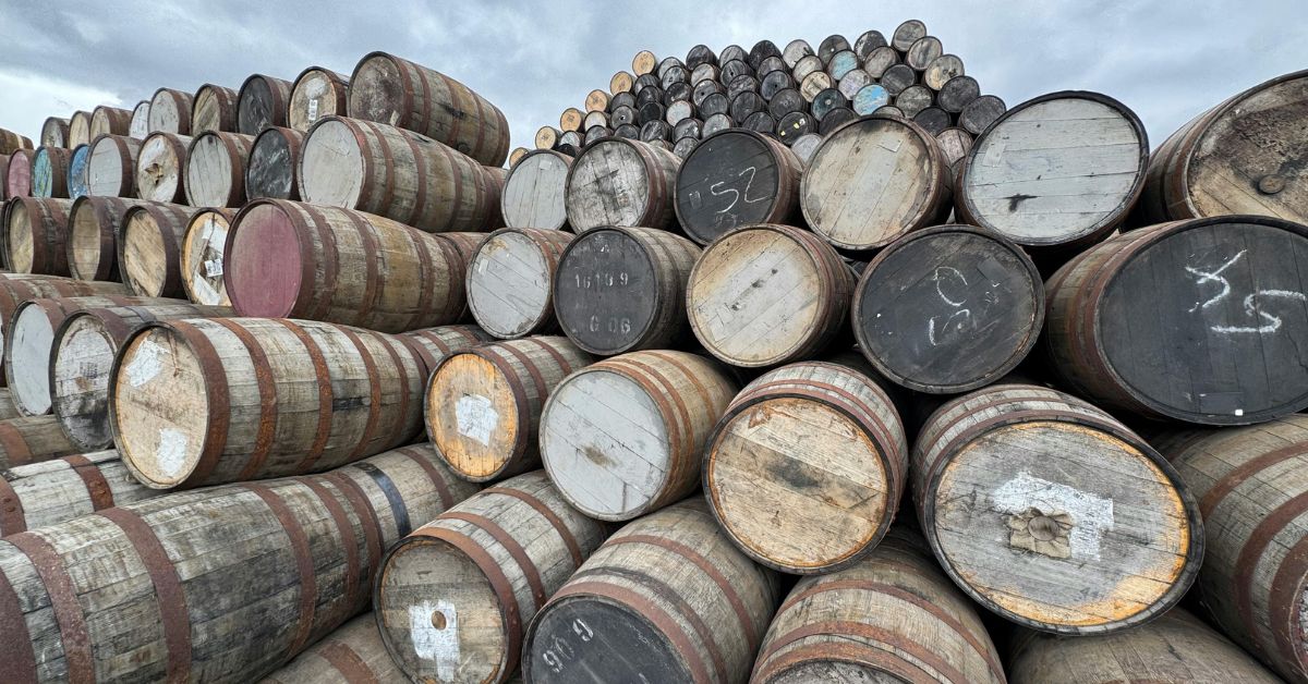 Oak Barrel
