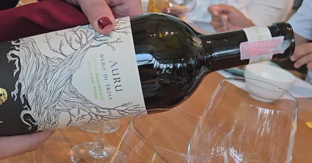 Pajaru Nero Di Troia Auru IGT - Organic