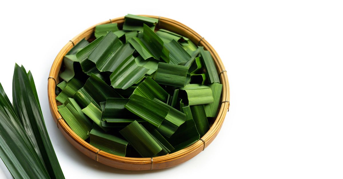 Pandan