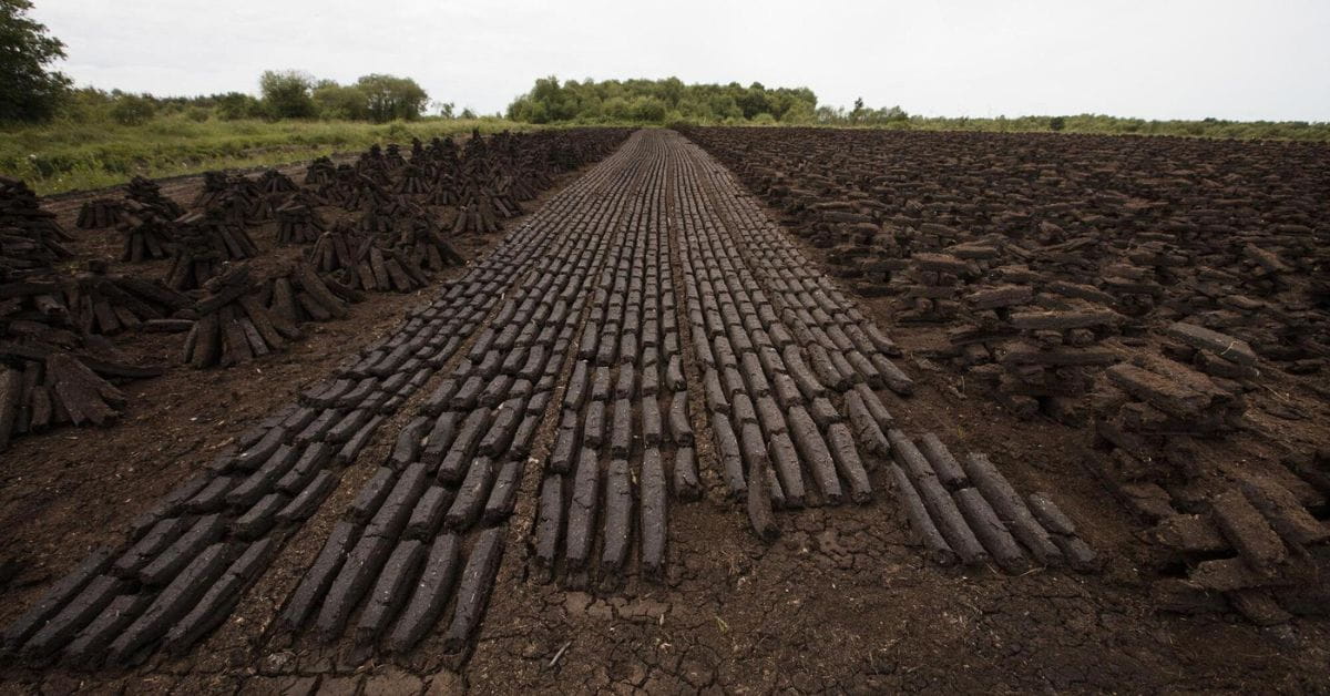 Peat