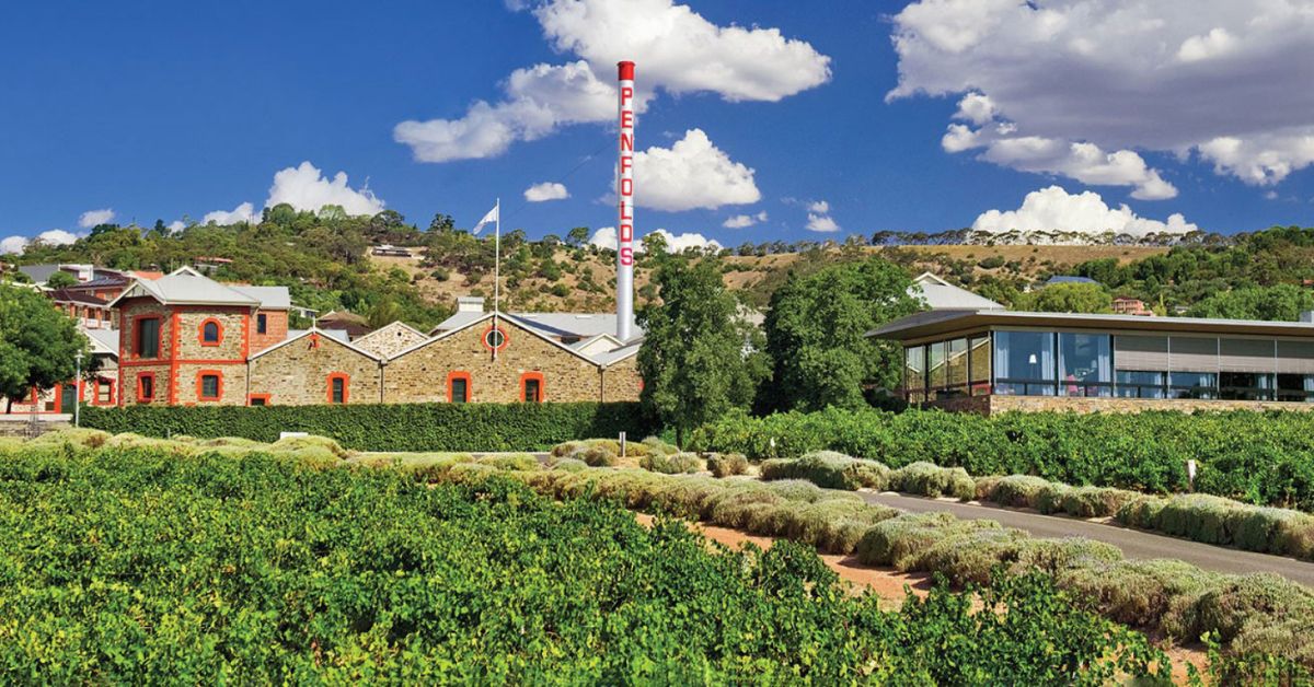 Penfolds Vineyard