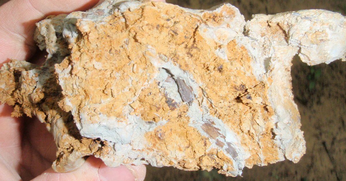 Piedmont Soil