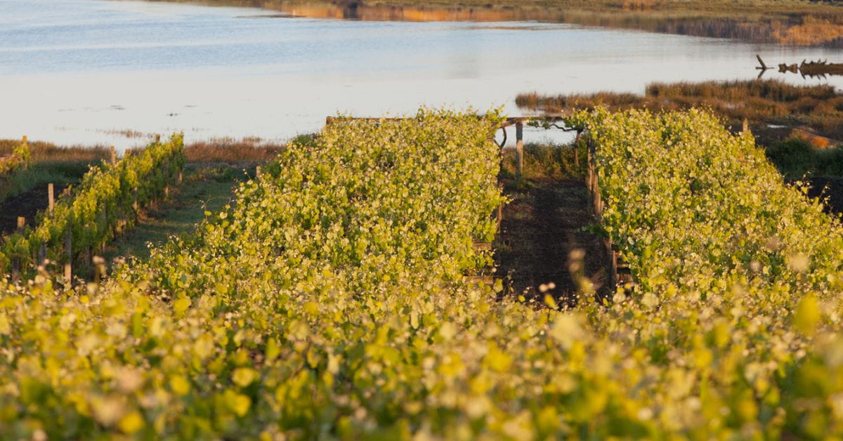 Rías Baixas