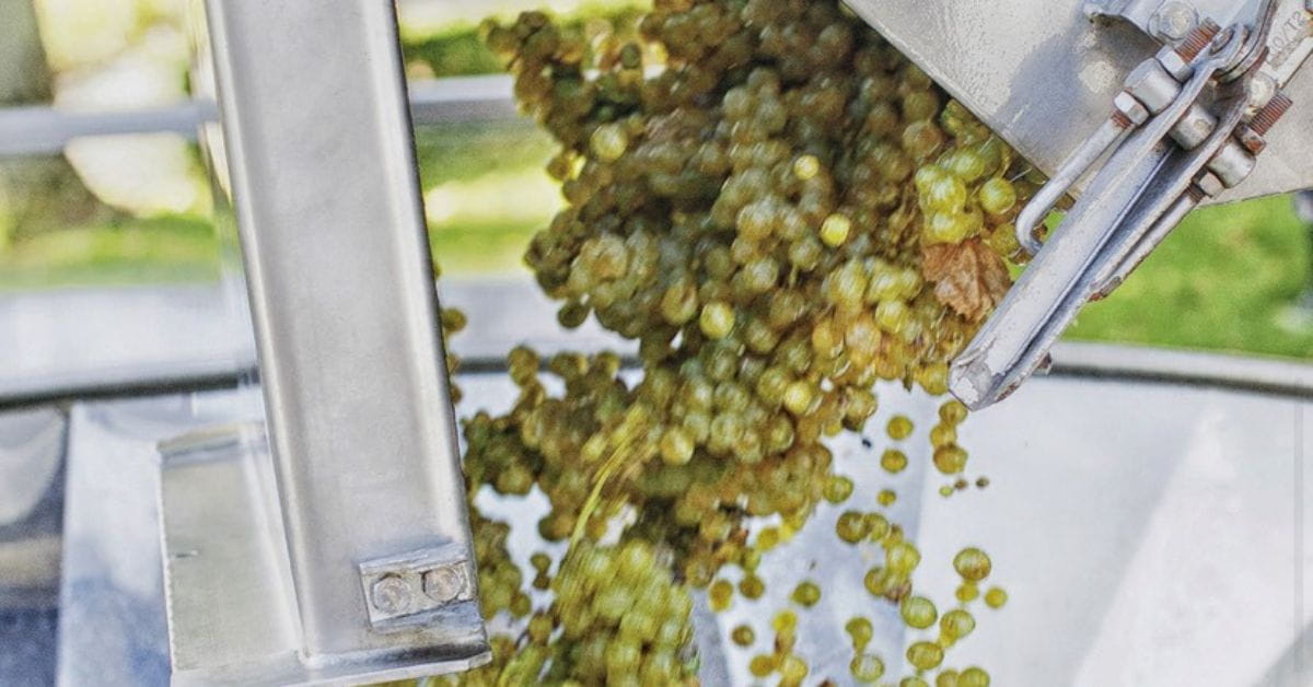 Weingut Robert Weil Riesling
