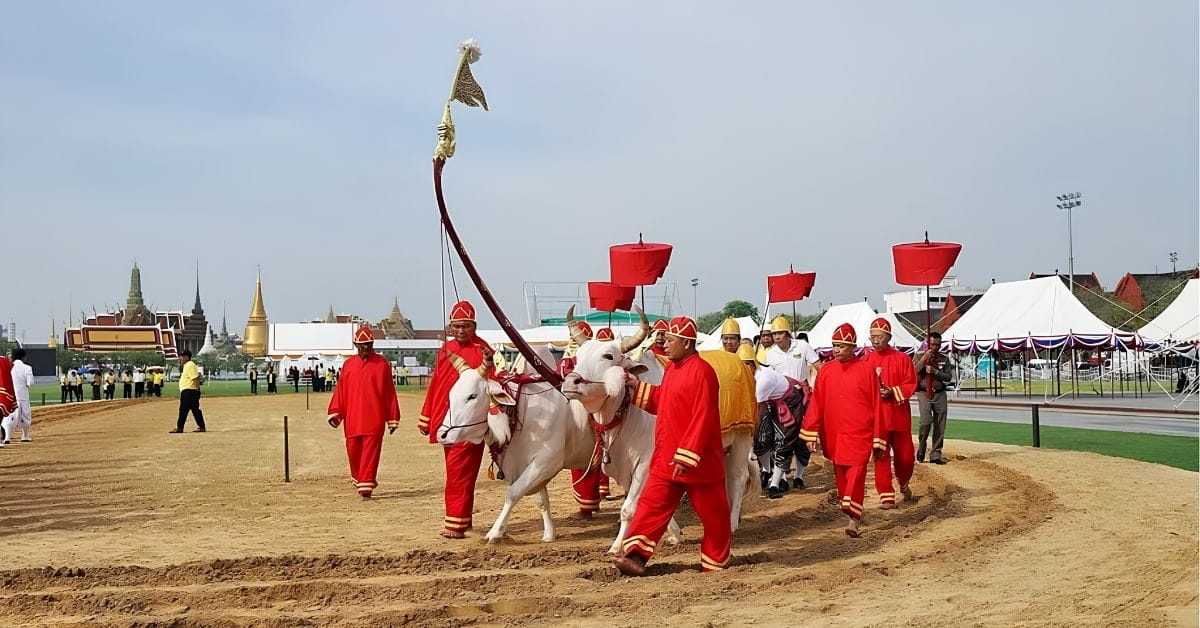 Royal Ploughing