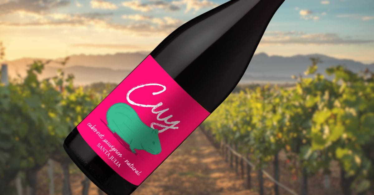 Santa Julia Cuy Cabernet Sauvignon Natural Wine