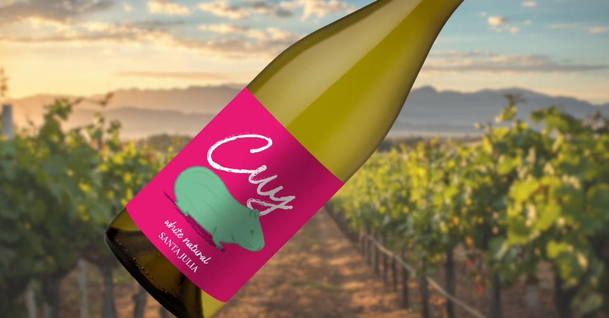 Santa Julia Cuy White Natural Wine