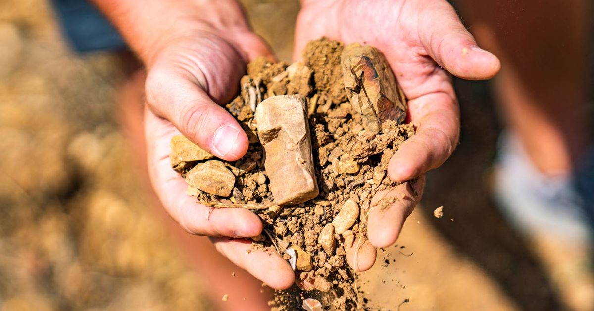 Sicily Soil