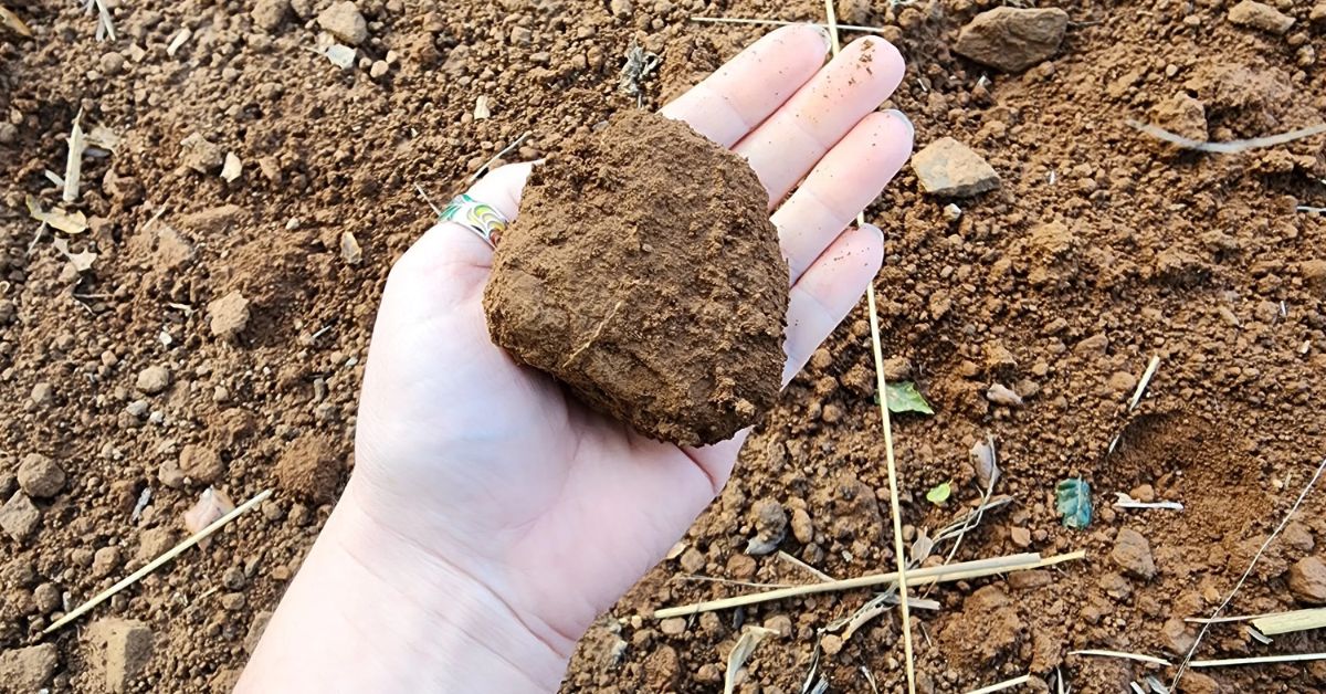 Sonoma County Soil
