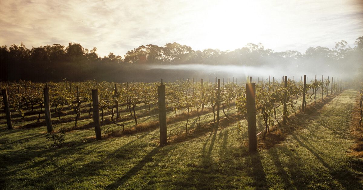 South Australia