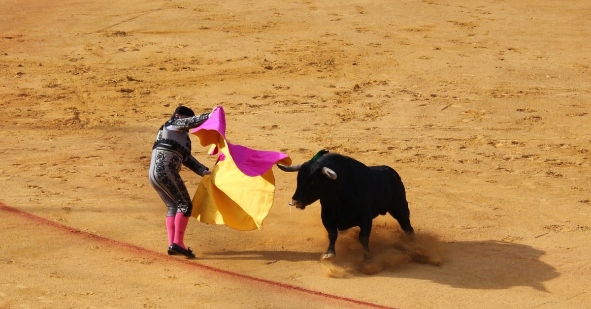 Spanish Bull Fight