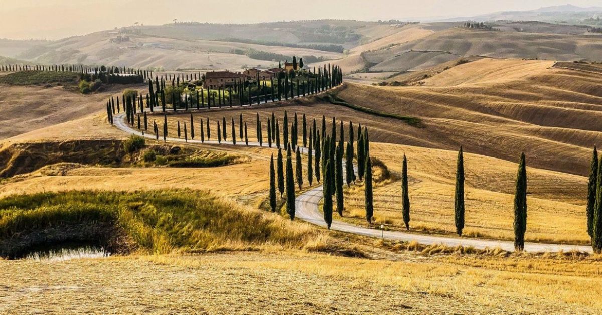 Tuscany The Golden Hill