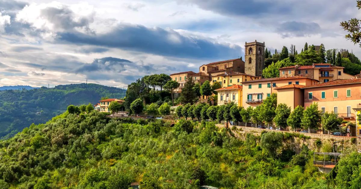 Tuscany Wine Estate
