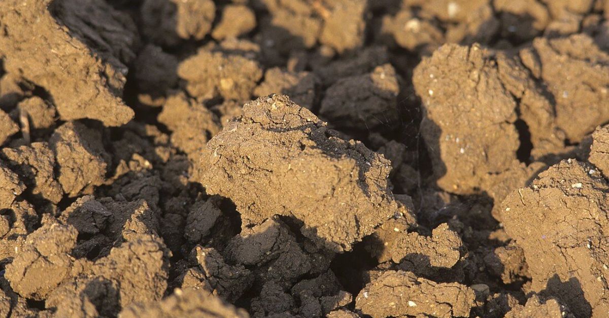 Tuscany Soil