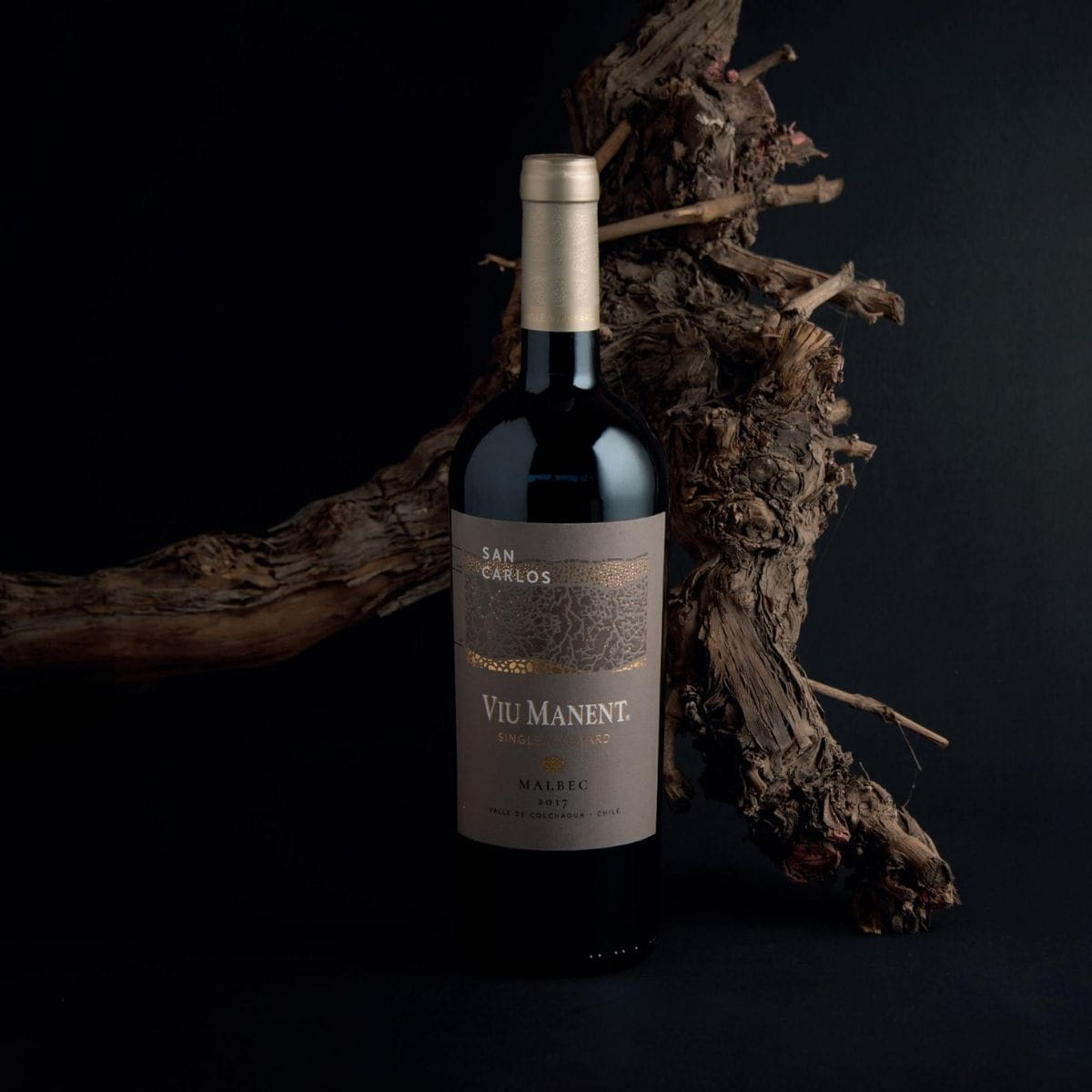 Viu Manent Single Vineyard Malbec