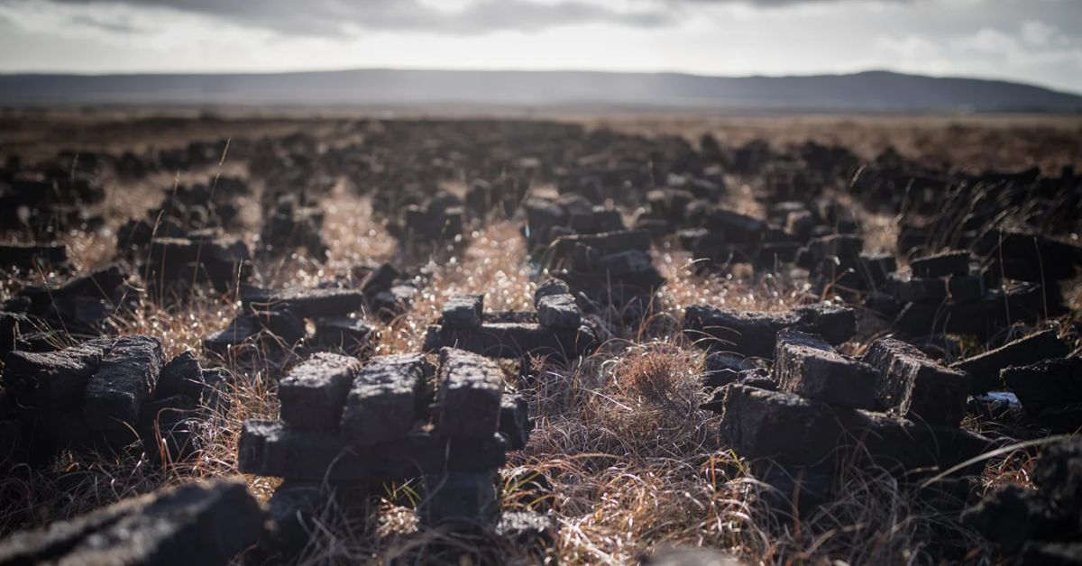 Ardbeg Peat