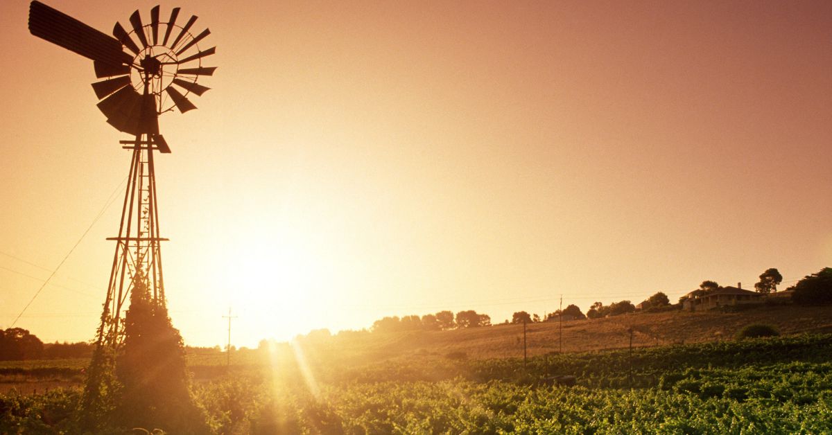 Barossa Valley