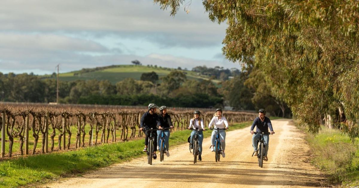 Vineyard Cycling