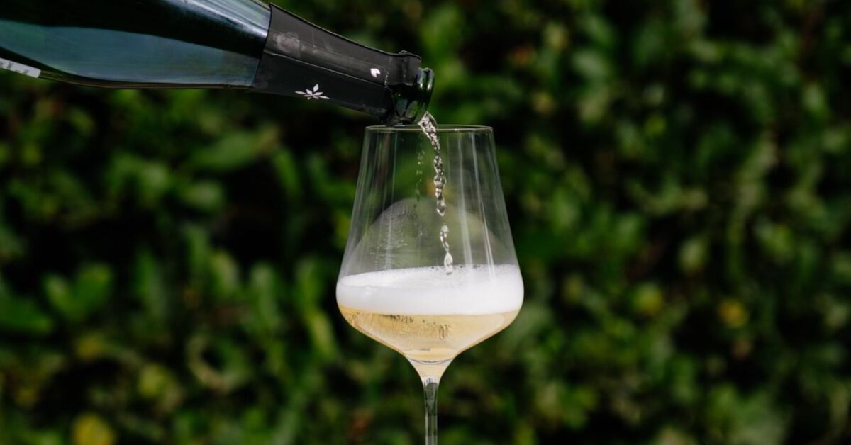 Champagne Universal Glass