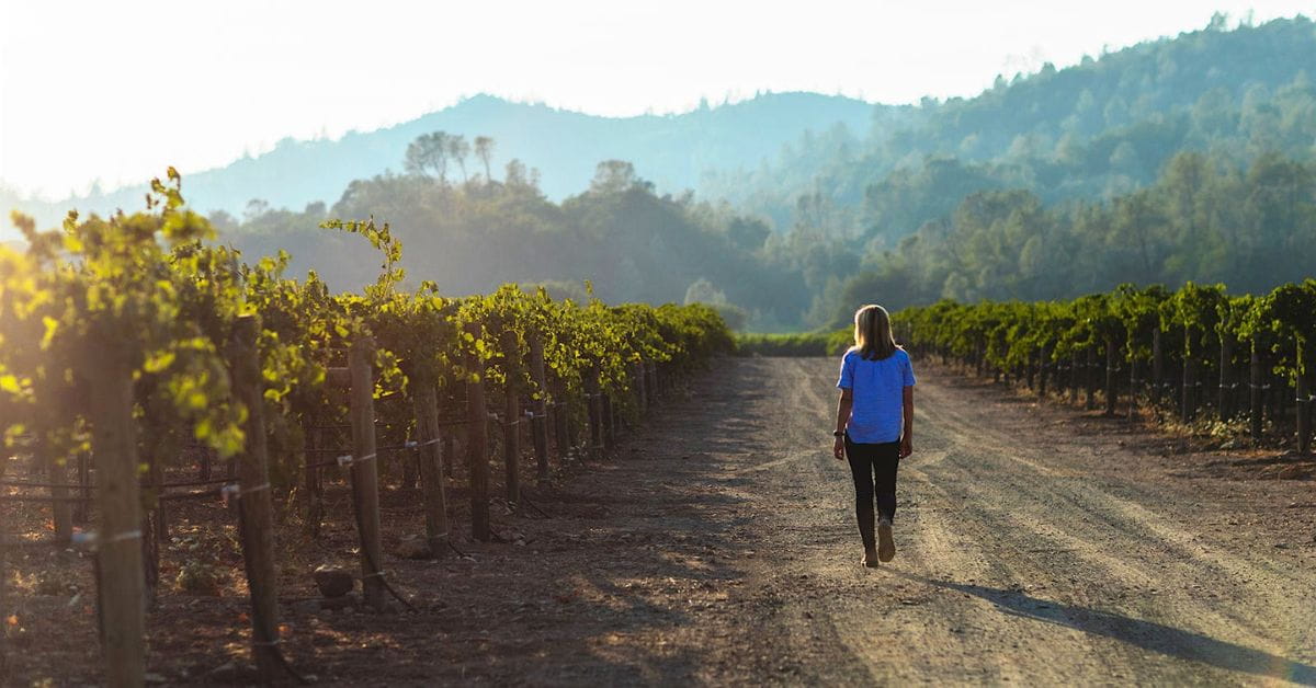 Duckhorn Vineyards Napa Valley