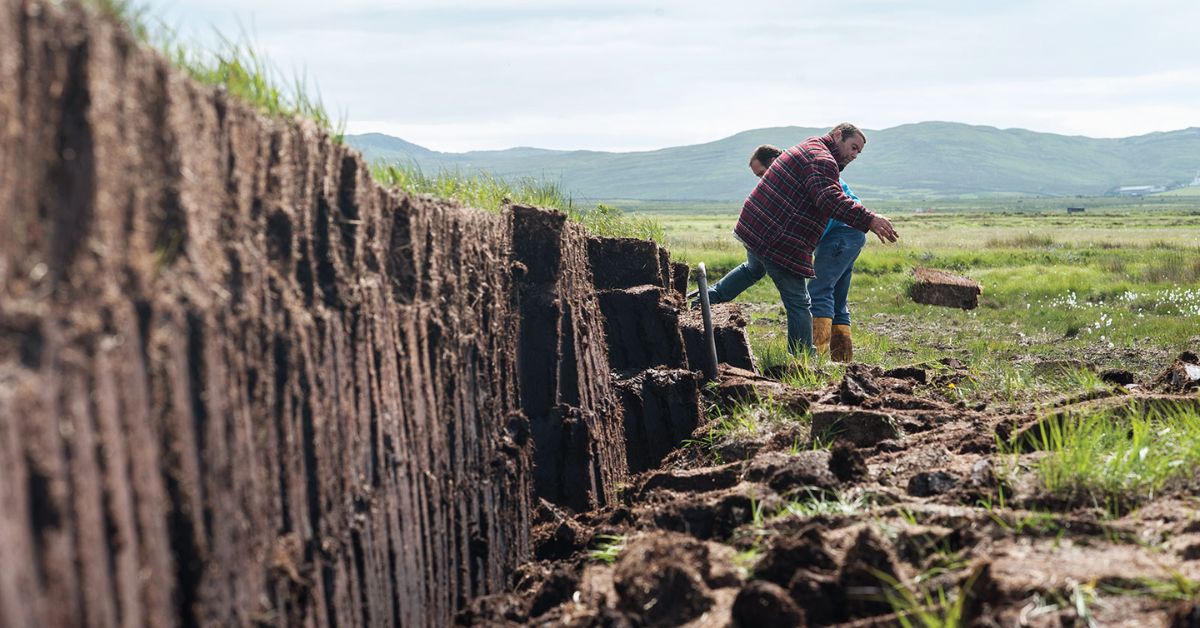 Islay Peat