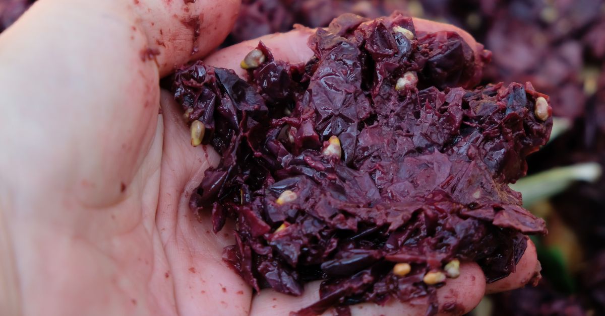 pomace