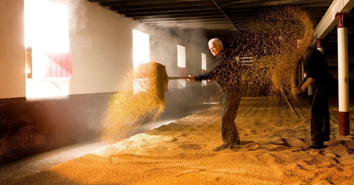 The Balvenie Malting