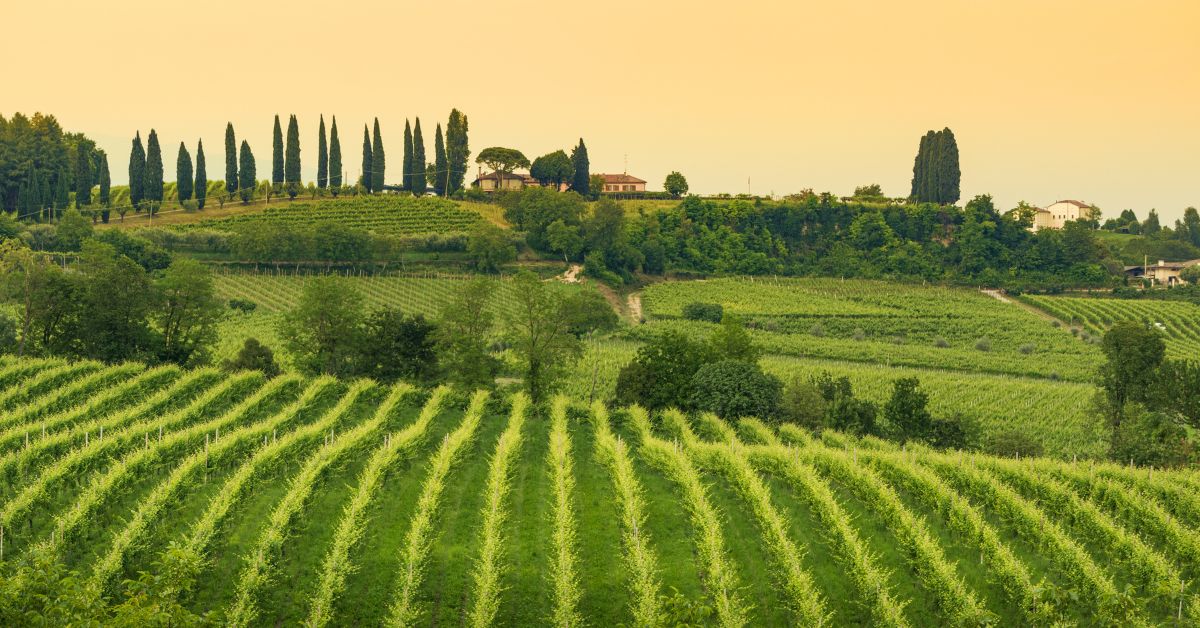 Veneto
