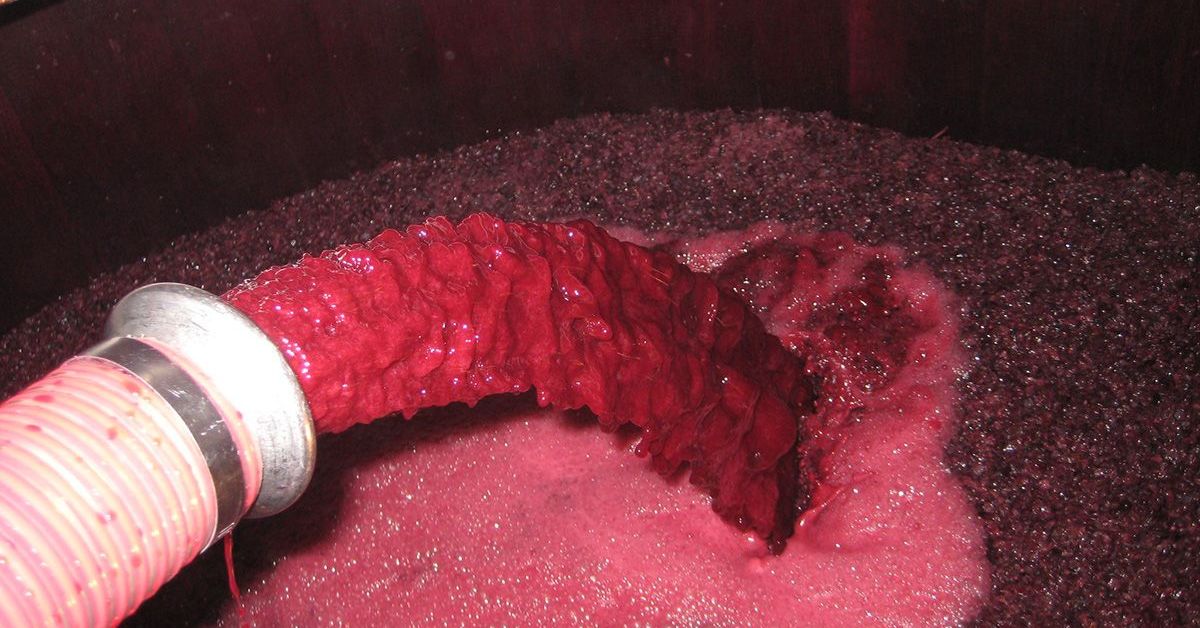 Wine Making