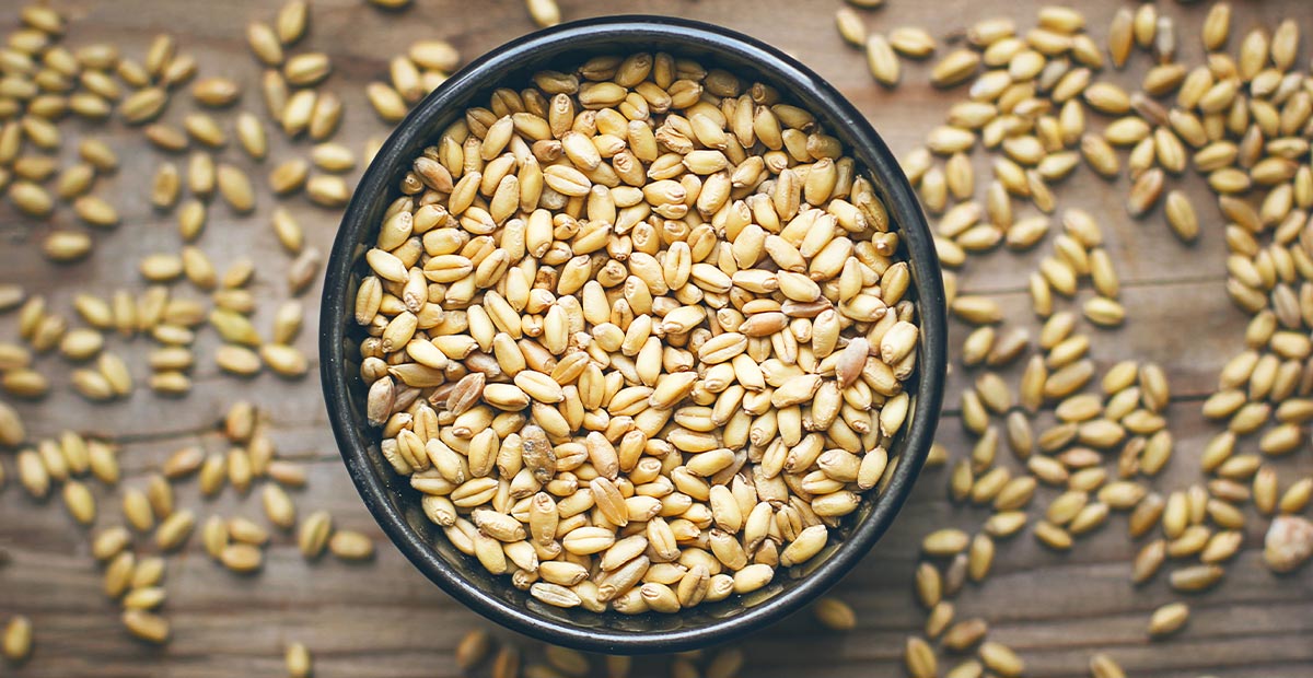 Wheat