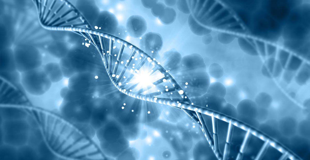 Human Gene