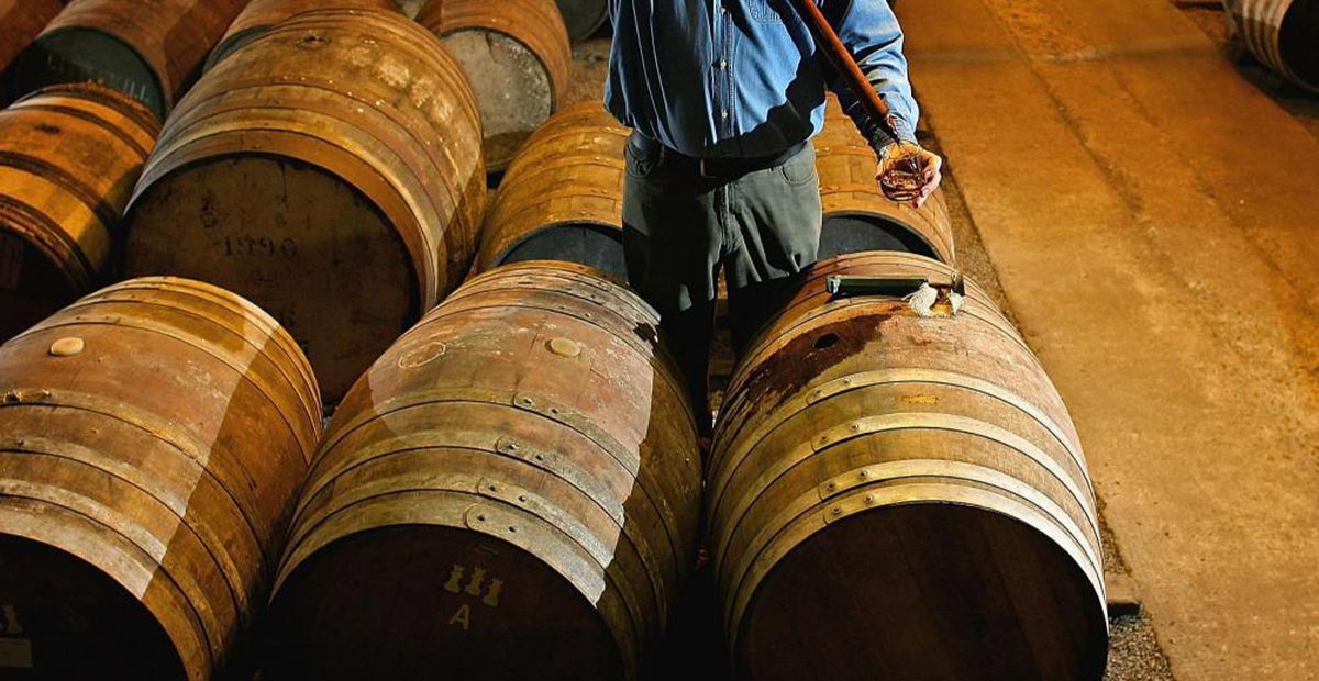 Oak Barrel