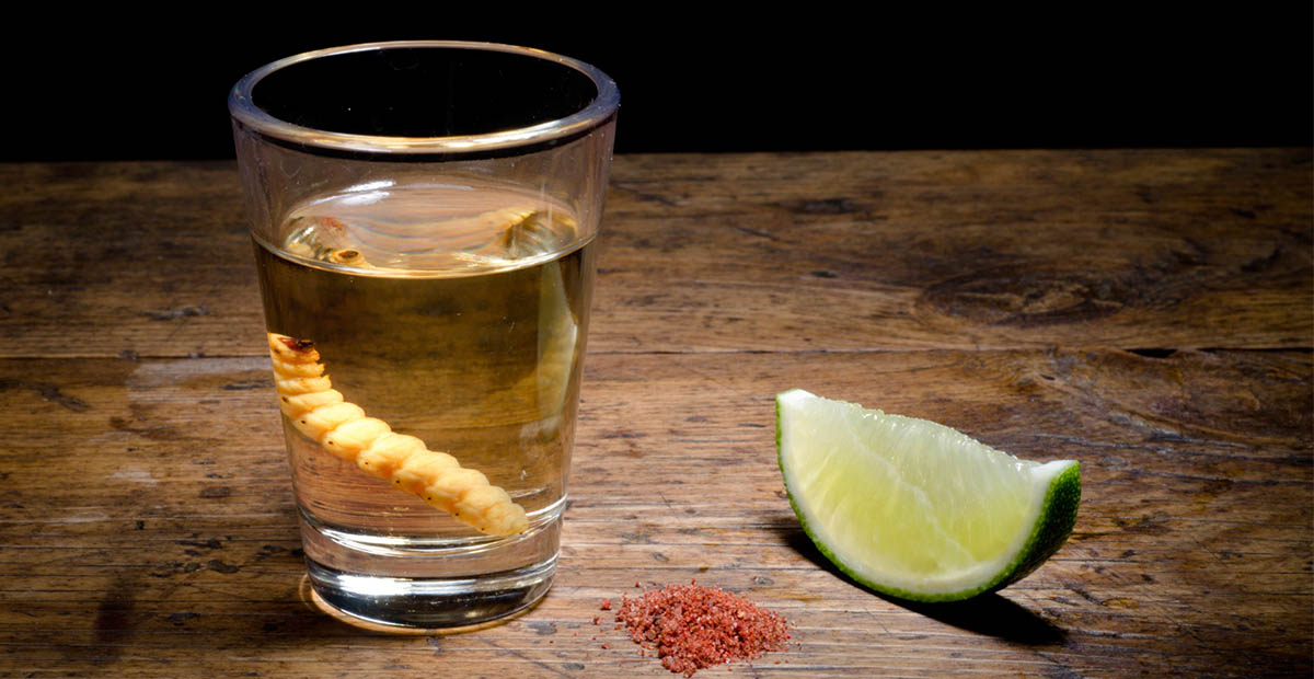 Mezcal Glass Mezcal Glass