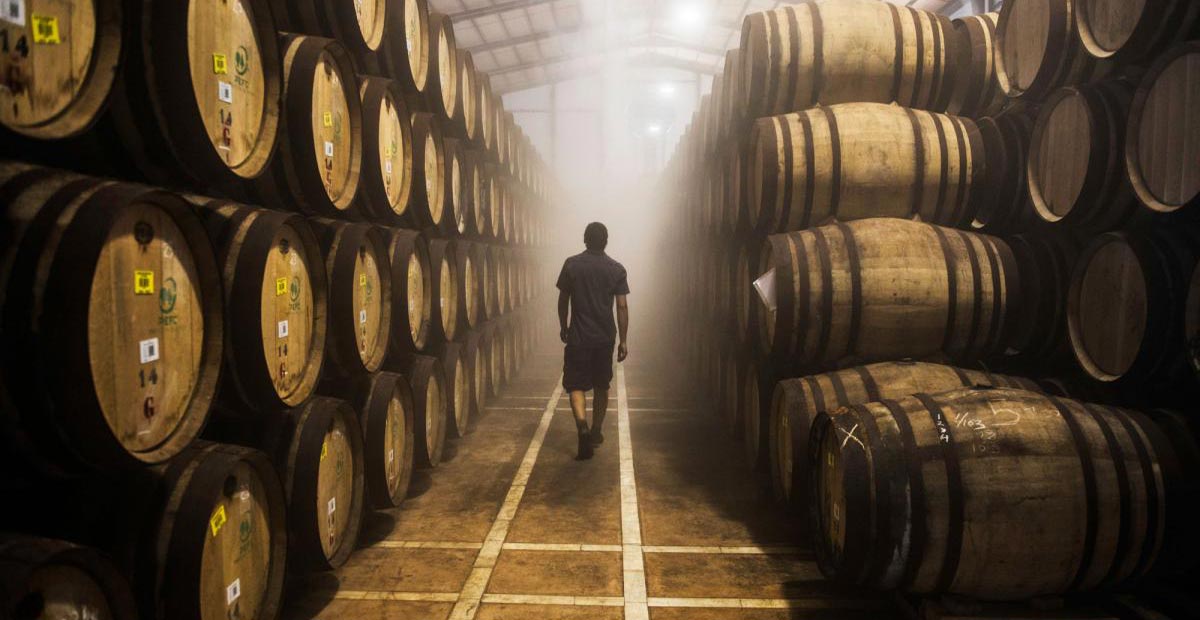 The Macallan Mature House