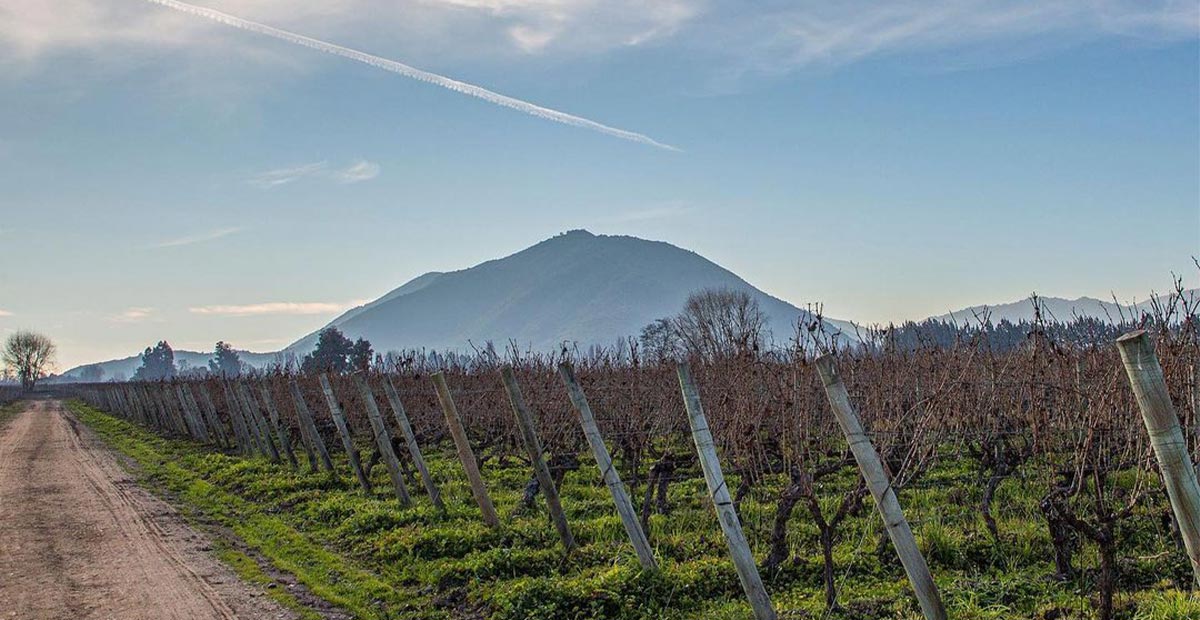 Colchagua Valley